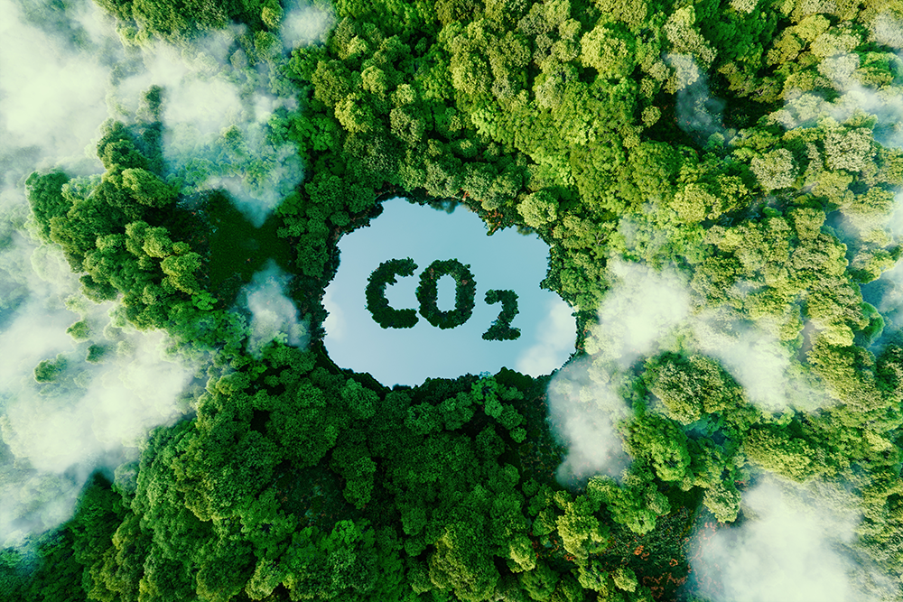 Le carbone-score : une nouvelle donnée bientôt intégrée à la RE2020
